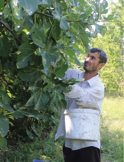 Témoignage - Rencontre avec Ashot, agriculteur dans le village de Ditavan
