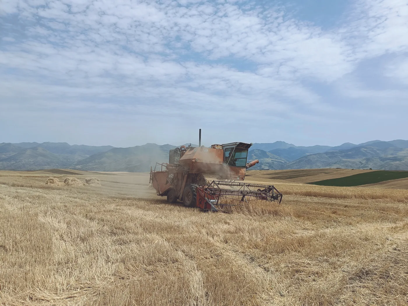 Dans le Syunik, 460 tonnes des semences de blé ont été distribuées. La récolte a dépassé 4 600 tonnes ; le blé était de si bonne qualité qu’il servira de semence pour la saison prochaine.