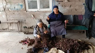 Transformer l’aide en développement : RÉFUGIÉS, SYUNIK, TAVUSH, GUÉGHARKOUNIK