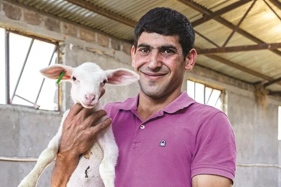 Khano Ghazaryan, éleveur de moutons
