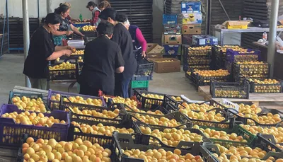 Déshydrateur  
Le fruit d’un travail en commun