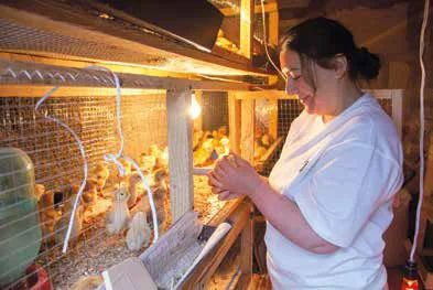 Aviculture Srbuhi Grigoryan 4