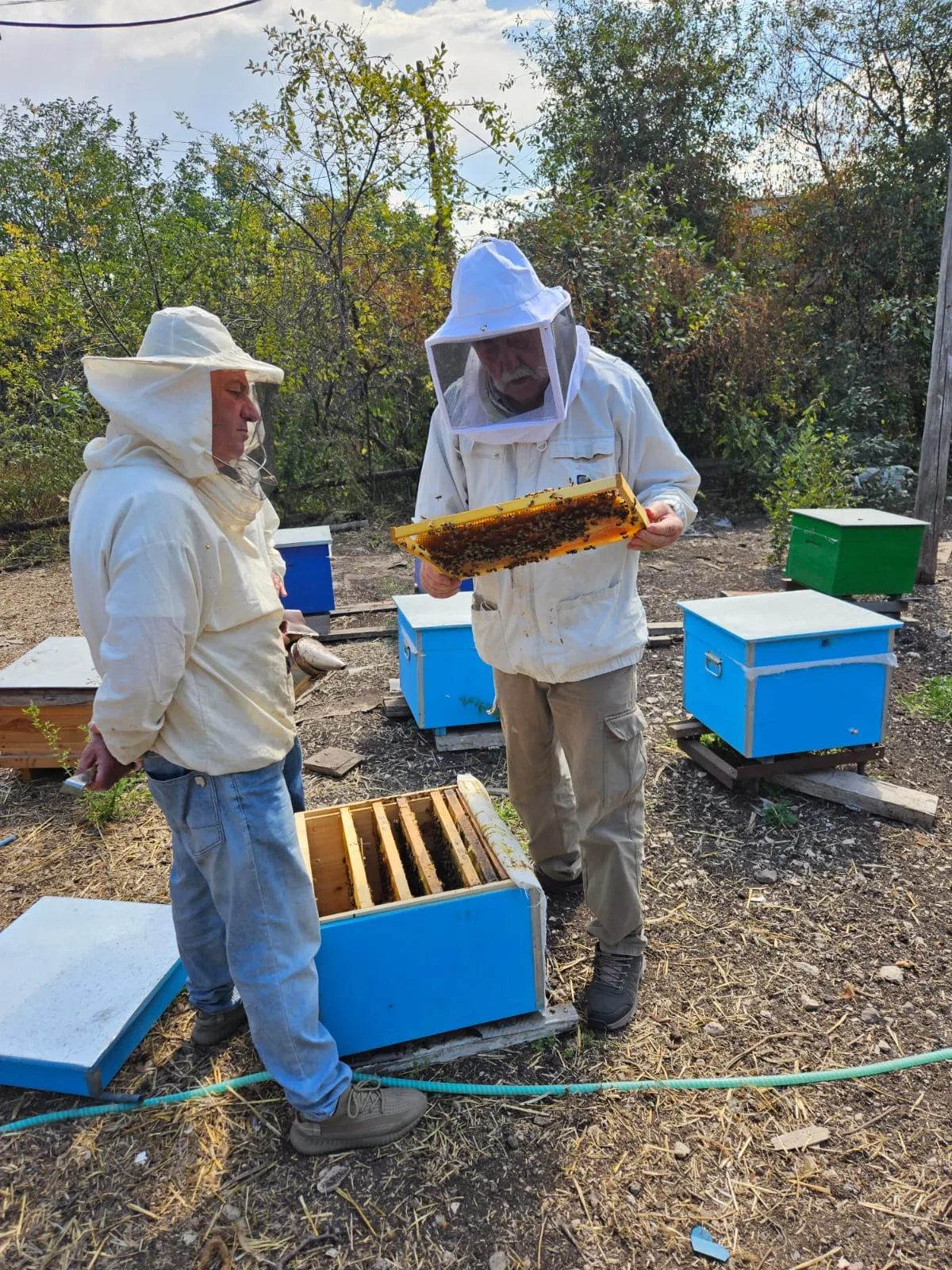 Apiculture Michel Tardieu 3